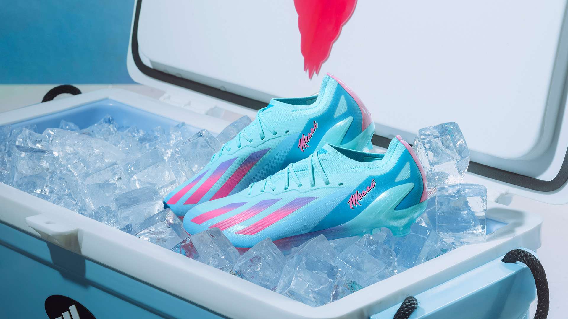 学习都是一 学习都是一