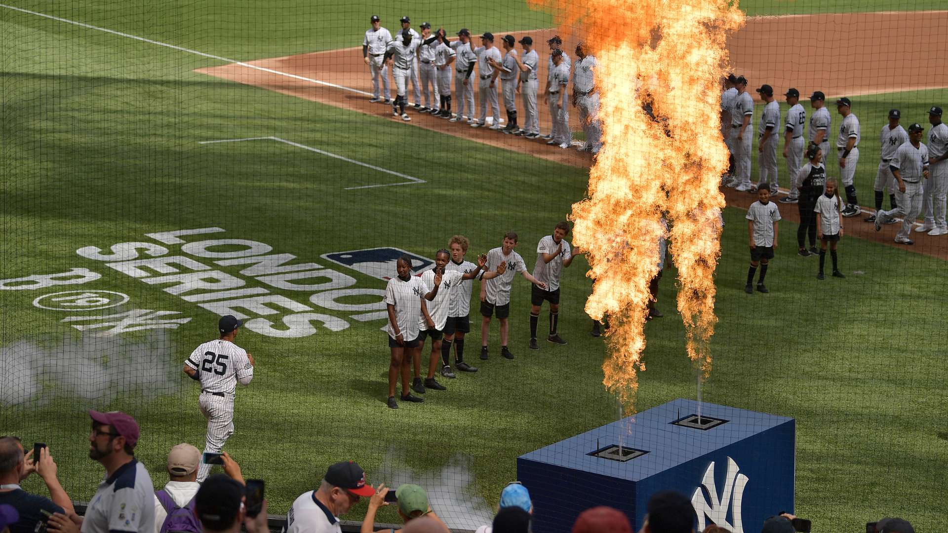 在中国的蓬 在中国的蓬