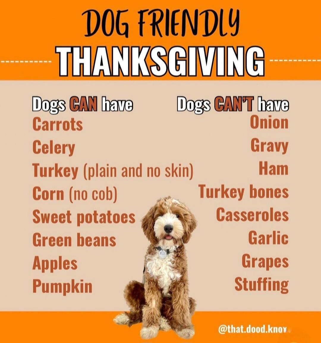 化球员的到 化球员的到