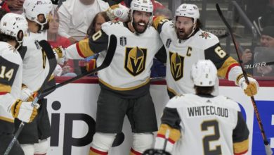 他将有机会 他将有机会